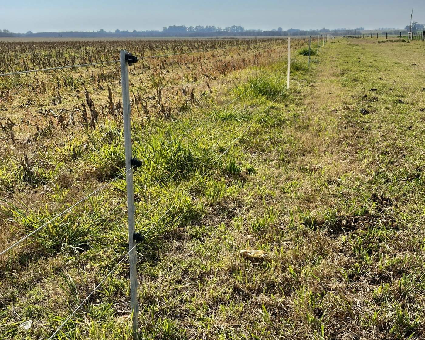 Instalación de alambrado eléctrico